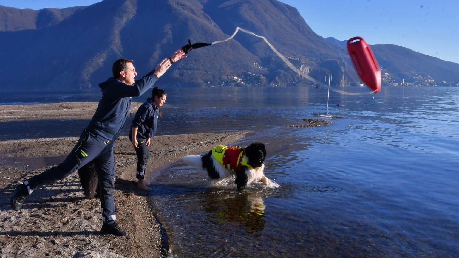 Il supporto degli animali per la prevenzione e per salvare vite umane